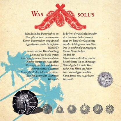 AUA AUA | Alles gut [digital] – Bild 4