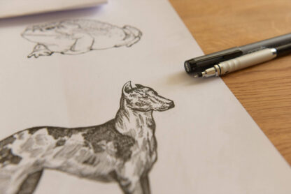AUA AUA | Alles Gut [art edition] – Bild 5